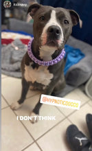 Load image into Gallery viewer, Purple Rain Triplo Acrylic Bead Collar