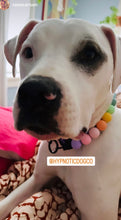 Load image into Gallery viewer, Pastel Rainbow Acrylic Bead Collar