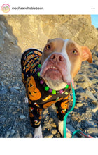 Load image into Gallery viewer, Monster Bash Bead Collar