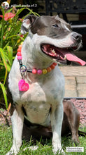 Load image into Gallery viewer, Sweet Tart Acrylic Bead Collar