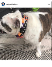 Load image into Gallery viewer, Witching Hour Halloween Bead Collar