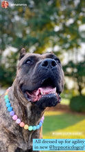 Load image into Gallery viewer, Pastel Rainbow Acrylic Bead Collar