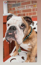 Load image into Gallery viewer, Blue Spark Bead Collar