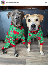 Load image into Gallery viewer, Christmas Frost Bead Collar