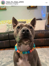 Load image into Gallery viewer, Rainbow Surf Acrylic Bead Collar