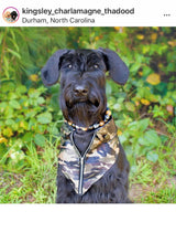 Load image into Gallery viewer, Conqueror Bead Collar