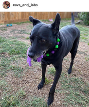Load image into Gallery viewer, Monster Bash Bead Collar