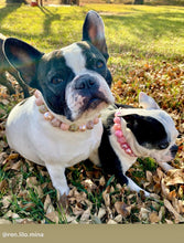 Load image into Gallery viewer, Rose Gold Champagne Bead Collar