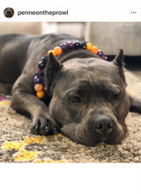 Load image into Gallery viewer, Witching Hour Halloween Bead Collar