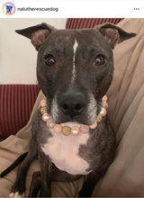 Load image into Gallery viewer, Rose Gold Champagne Bead Collar