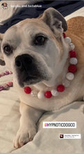 Load image into Gallery viewer, š§ 20" Slip On (Black O-Ring) Candy Cane Glam Bead Collar - PRE-MADE/FINAL SALE