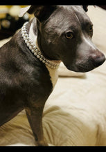 Load image into Gallery viewer, Times Square šŖ© Duplo Acrylic Bead Collar