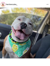 Load image into Gallery viewer, Green Thunder Acrylic Bead Collar