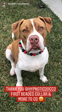 Load image into Gallery viewer, Red & Black Skull Bead Collar