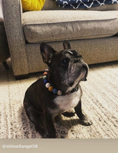 Load image into Gallery viewer, Lava Rock Bead Collar