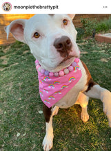 Load image into Gallery viewer, Pink Sugar Bead Collar