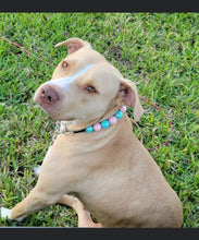 Load image into Gallery viewer, Cotton Candy Shine Bead Collar - SALE