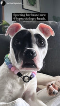 Load image into Gallery viewer, Pastel Rainbow Acrylic Bead Collar