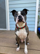 Load image into Gallery viewer, Christmas Frost Bead Collar