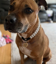 Load image into Gallery viewer, Duplo Mini White Pearl Acrylic Bead Collar
