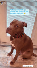 Load image into Gallery viewer, Christmas Frost Bead Collar