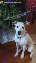 Load image into Gallery viewer, Unicorn Glam 🦄 Bead Collar
