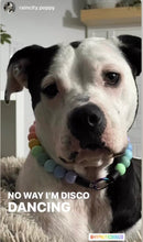 Load image into Gallery viewer, Pastel Rainbow Acrylic Bead Collar