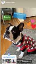 Load image into Gallery viewer, Conqueror Bead Collar