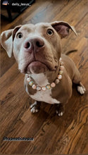 Load image into Gallery viewer, Rose Gold Champagne Bead Collar