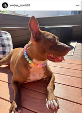 Load image into Gallery viewer, Pastel Rainbow Acrylic Bead Collar