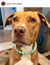 Load image into Gallery viewer, Minty Sage Acrylic Bead Collar - SALE