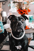 Load image into Gallery viewer, Times Square šŖ© Duplo Acrylic Bead Collar