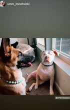 Load image into Gallery viewer, Pistachio Green Resin Bead Collar