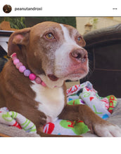 Load image into Gallery viewer, Pink Sugar Bead Collar