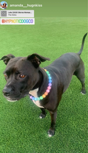Load image into Gallery viewer, Pastel Rainbow Acrylic Bead Collar