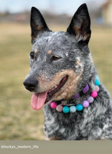 Load image into Gallery viewer, Unicorn Glam 🦄 Bead Collar