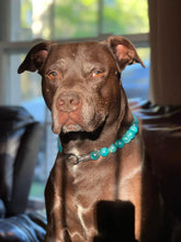 Load image into Gallery viewer, Teal Swirl Acrylic Bead Collar