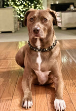 Load image into Gallery viewer, Tortoiseshell Ceramic Bead Collar
