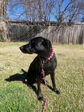 Load image into Gallery viewer, Chunky Rose Pink Pearls Acrylic Bead Collar