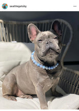 Load image into Gallery viewer, Periwinkle Agate Semi-precious Gem Bead Collar