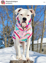 Load image into Gallery viewer, Hypnotic Dog Signature Acrylic Bead Collar