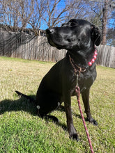 Load image into Gallery viewer, Chunky Rose Pink Pearls Acrylic Bead Collar