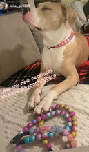 Load image into Gallery viewer, Pink Sugar Bead Collar