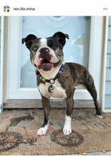 Load image into Gallery viewer, Lava Rock Bead Collar