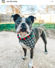 Load image into Gallery viewer, Christmas Frost Bead Collar