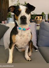 Load image into Gallery viewer, Unicorn Glam 🦄 Bead Collar