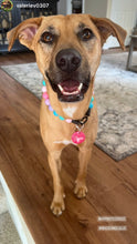 Load image into Gallery viewer, Bubblegum Acrylic Bead Collar