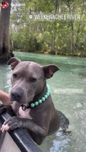 Load image into Gallery viewer, Minty Sage Acrylic Bead Collar - SALE