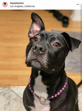 Load image into Gallery viewer, š§ 19.5" Slip On (Rose Gold O-Ring) Mini Orchid Purple Pearl Bead Collar - PRE-MADE/FINAL SALE