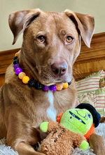 Load image into Gallery viewer, Witching Hour Halloween Bead Collar